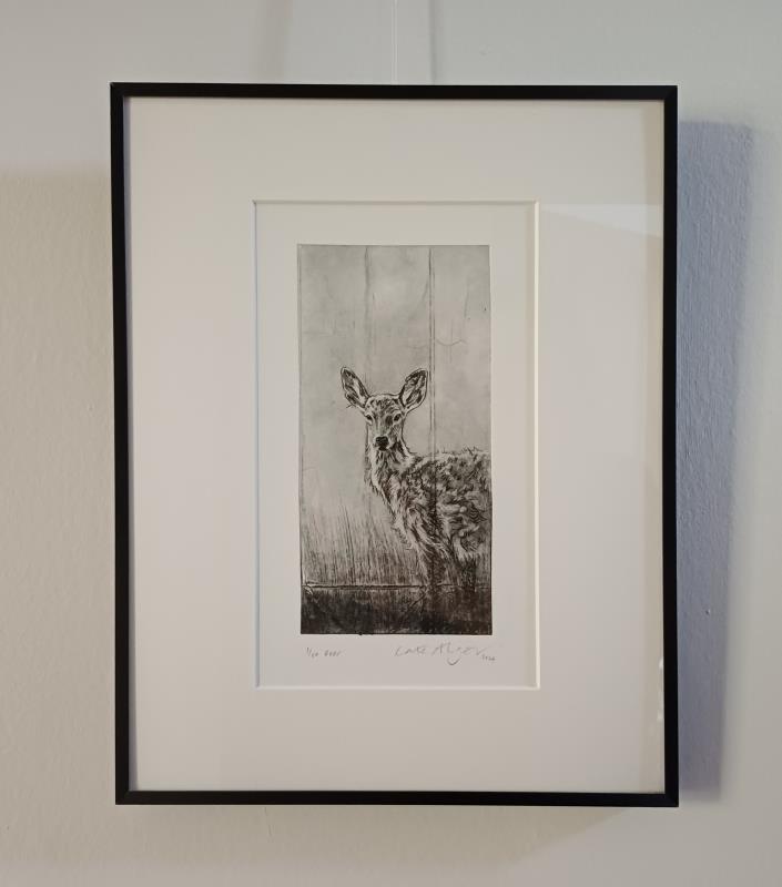 Deer