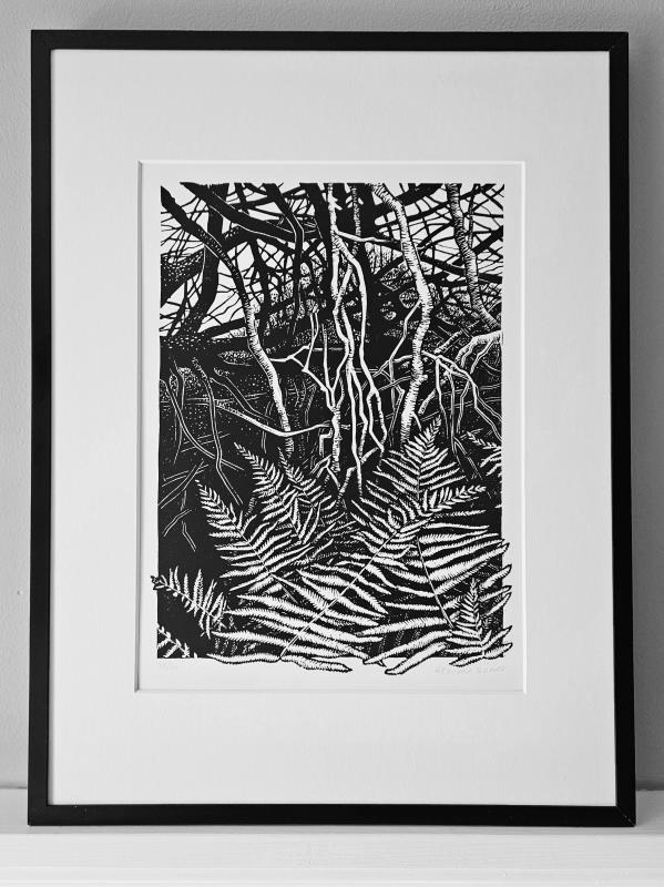 Forest & Ferns