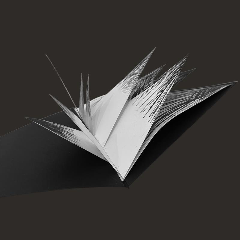 Serra: Artist's Book - Multiple Choice Series