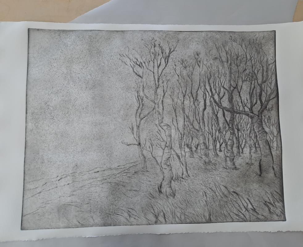 The Clearing