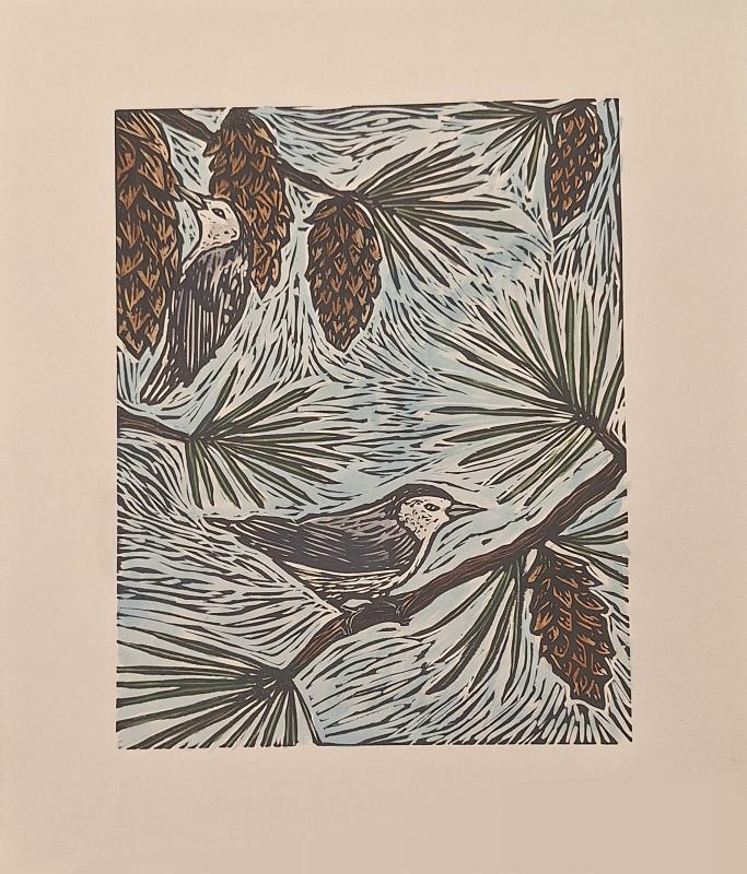 Nuthatches