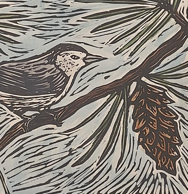 Nuthatches