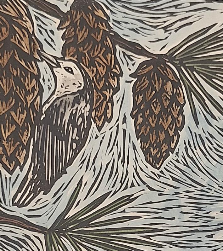 Nuthatches