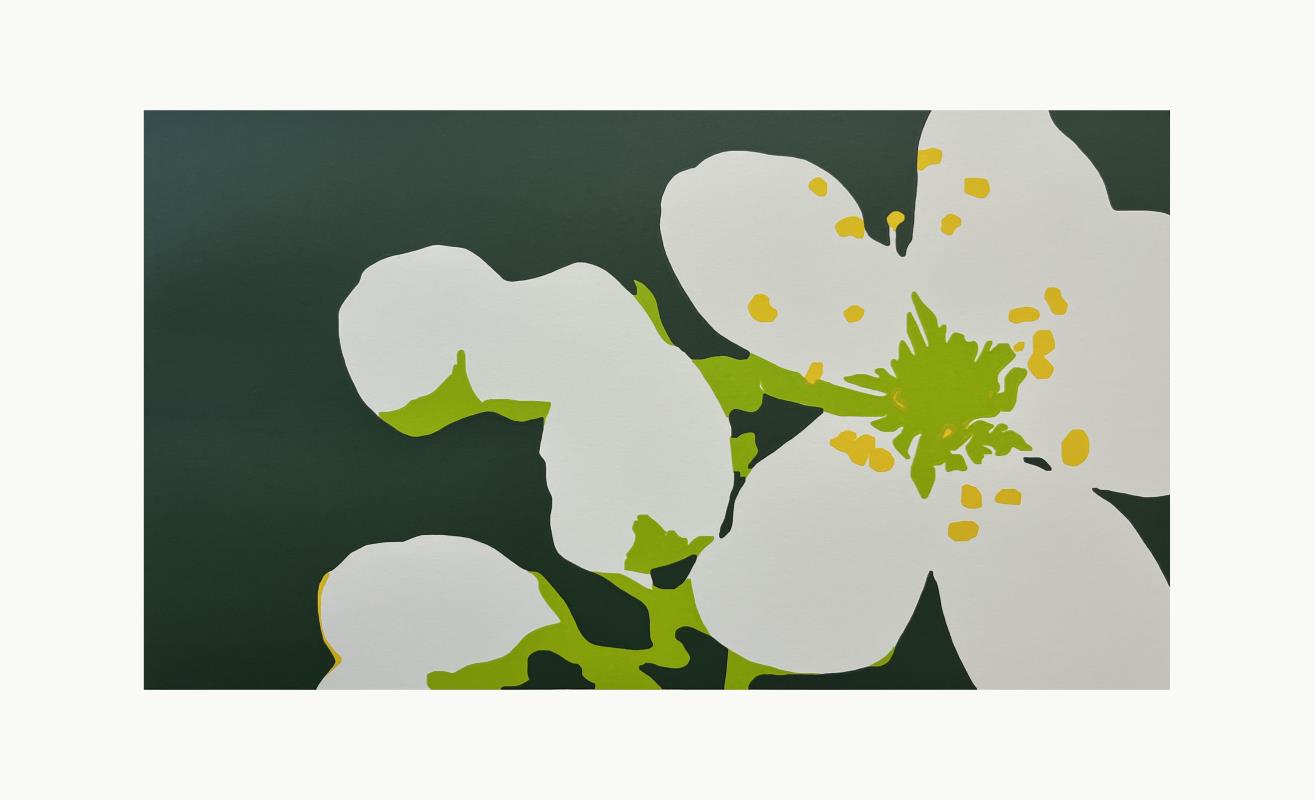 Blossom No.37