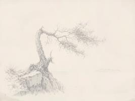 The Shape of Wind