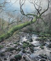 Dartmoor babbling brook