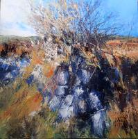 Cornish Hedgerow