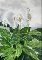 Lillies in the light