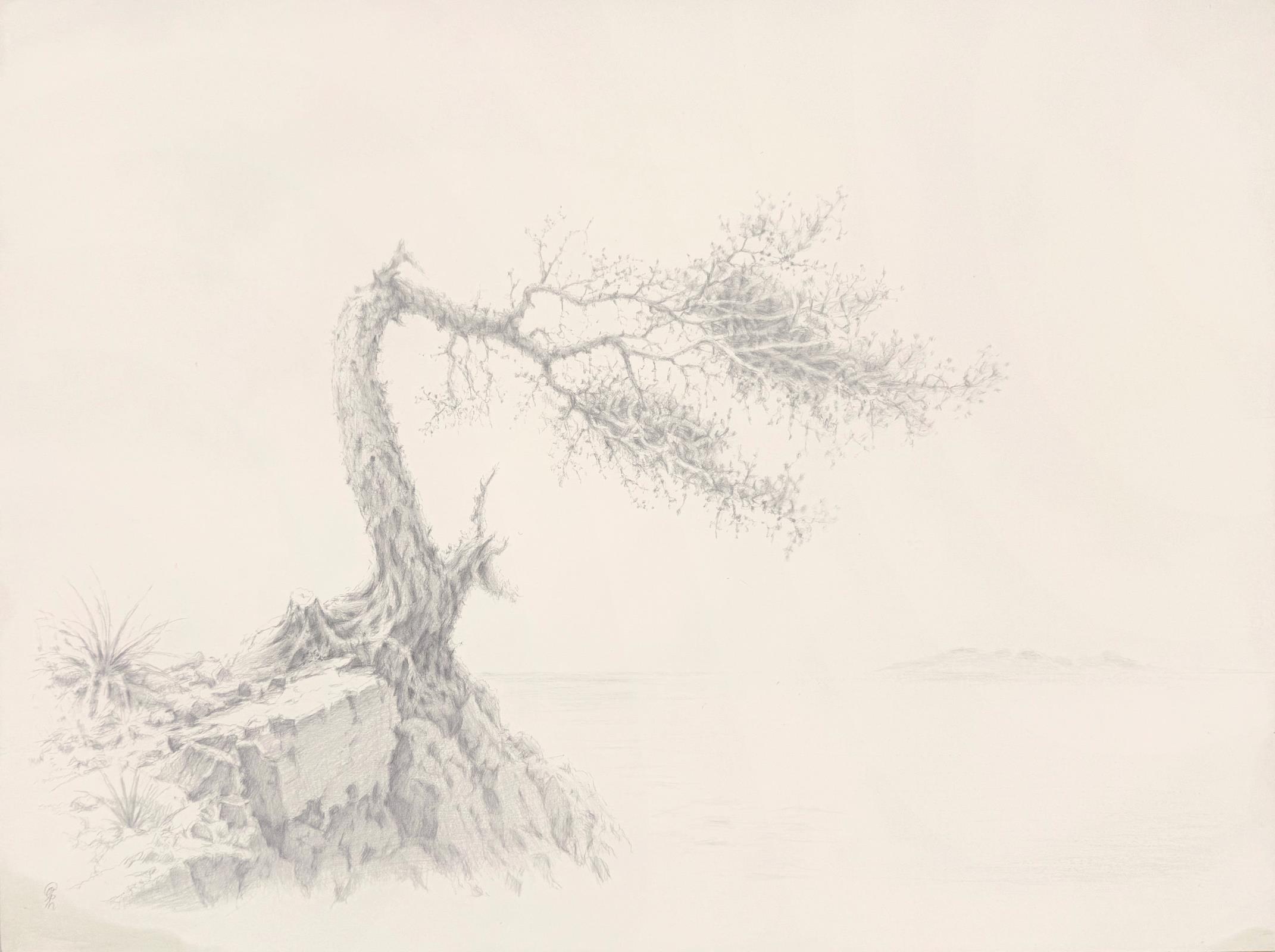 The Shape of Wind