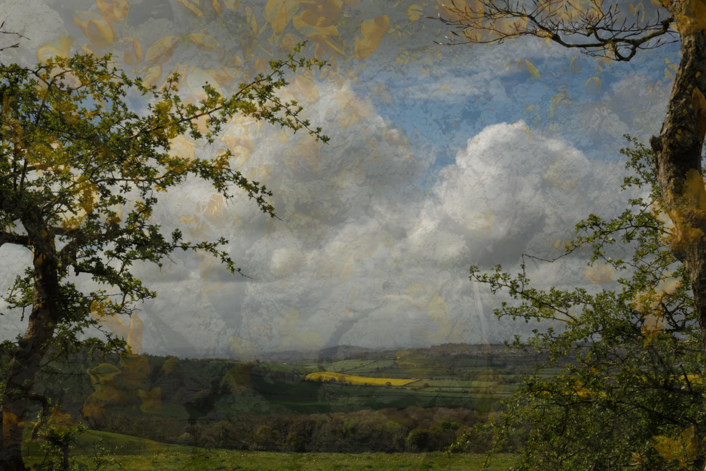 Tess Durbeyfield - From Innocence to Experience: Pure Vista