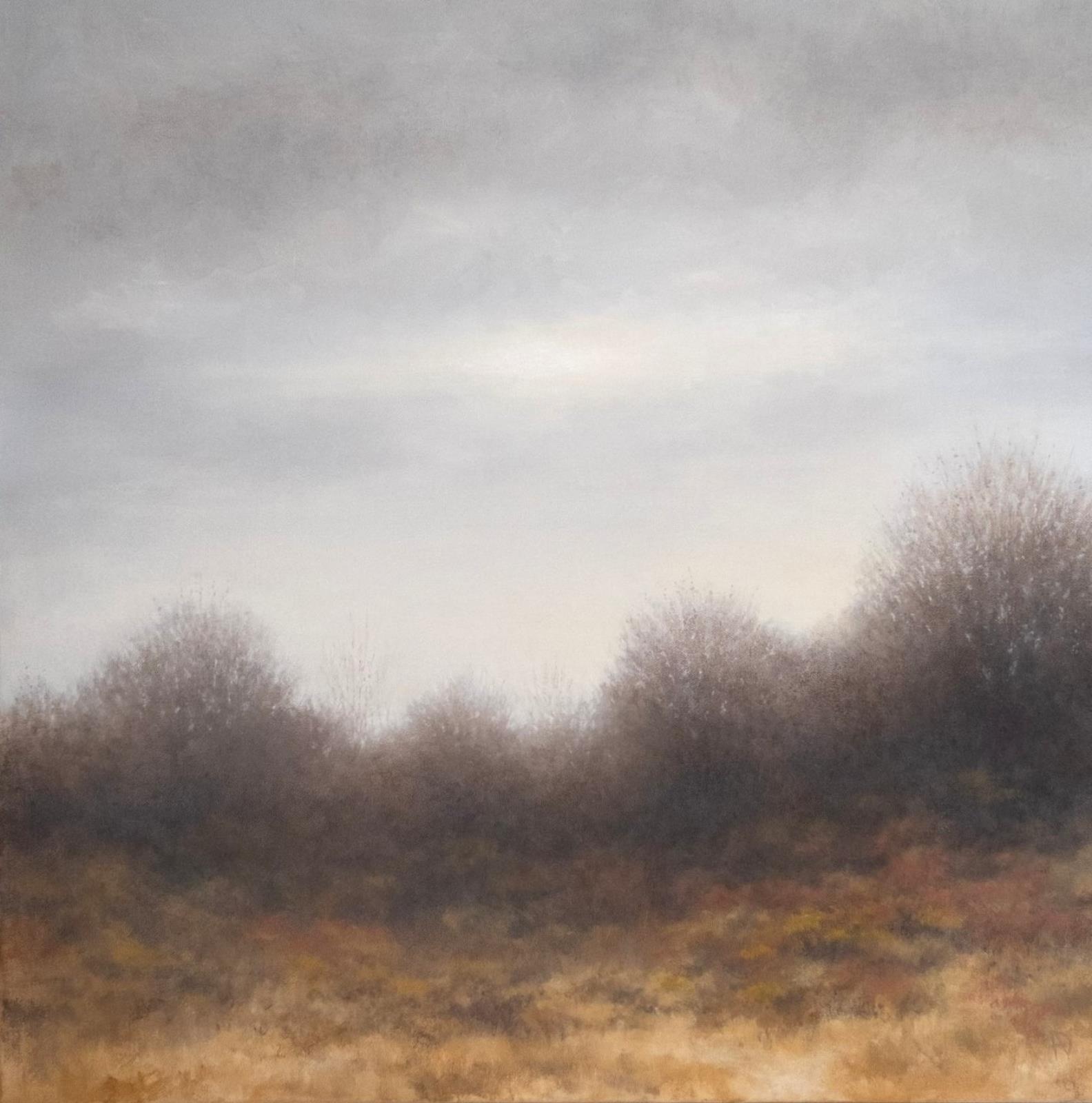 Open Moor