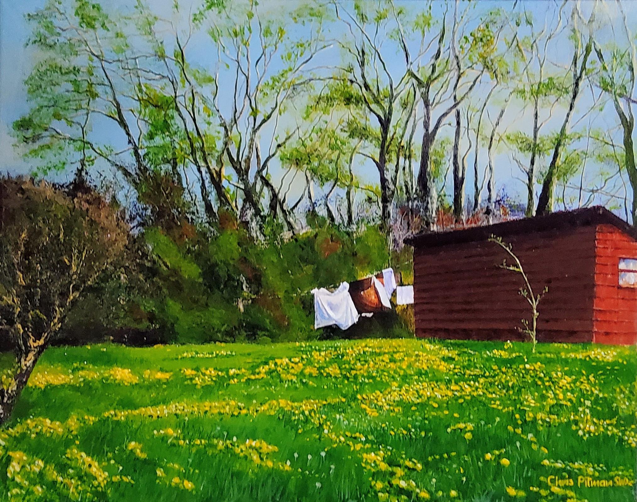 Dandelions
