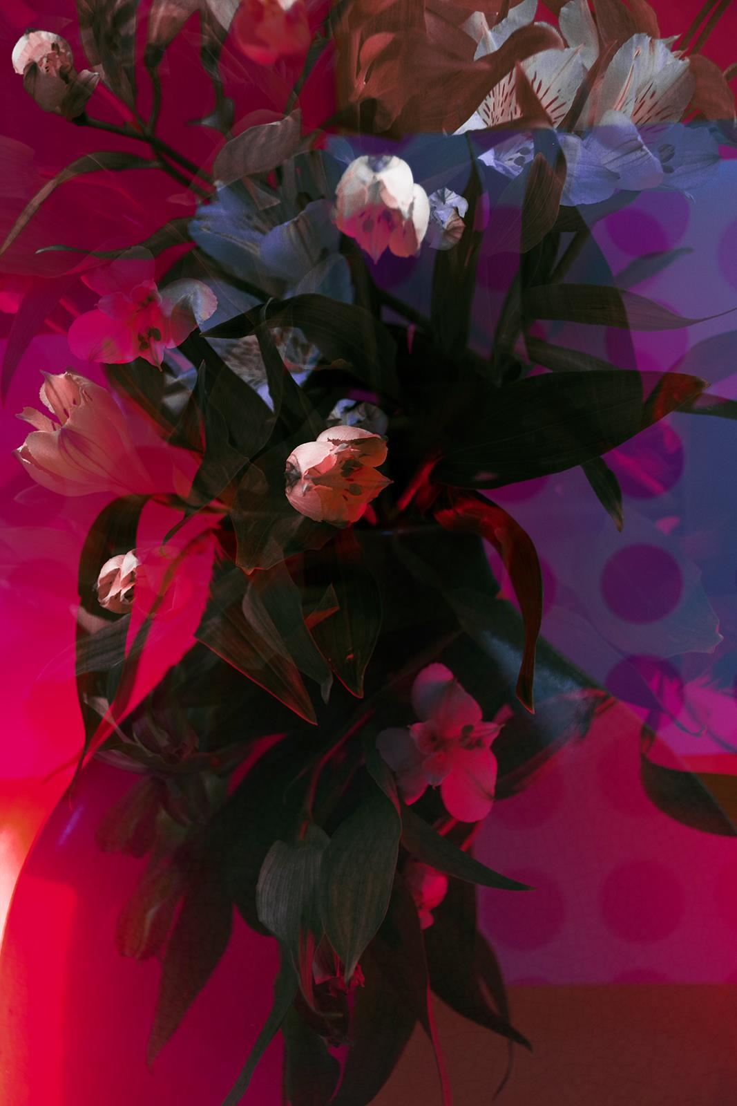 Into the Red