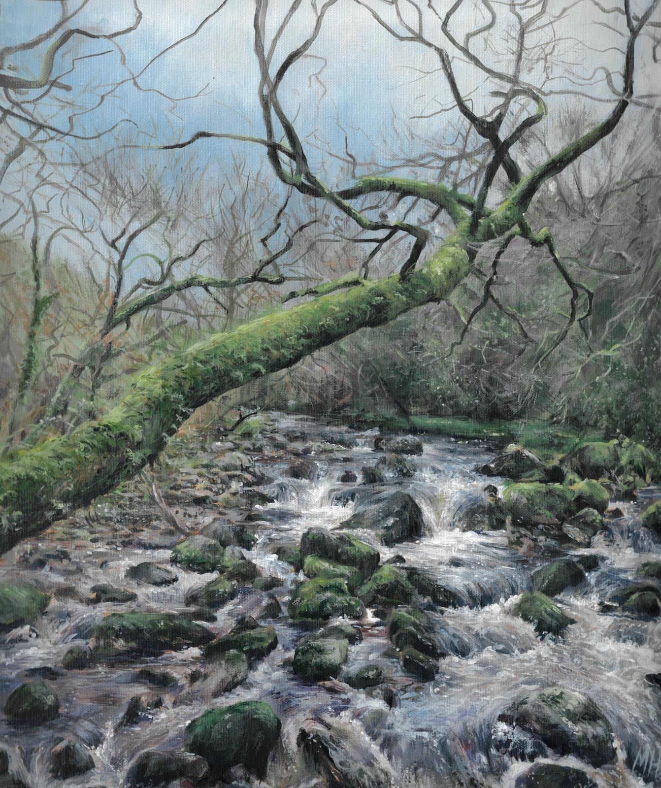 Dartmoor babbling brook