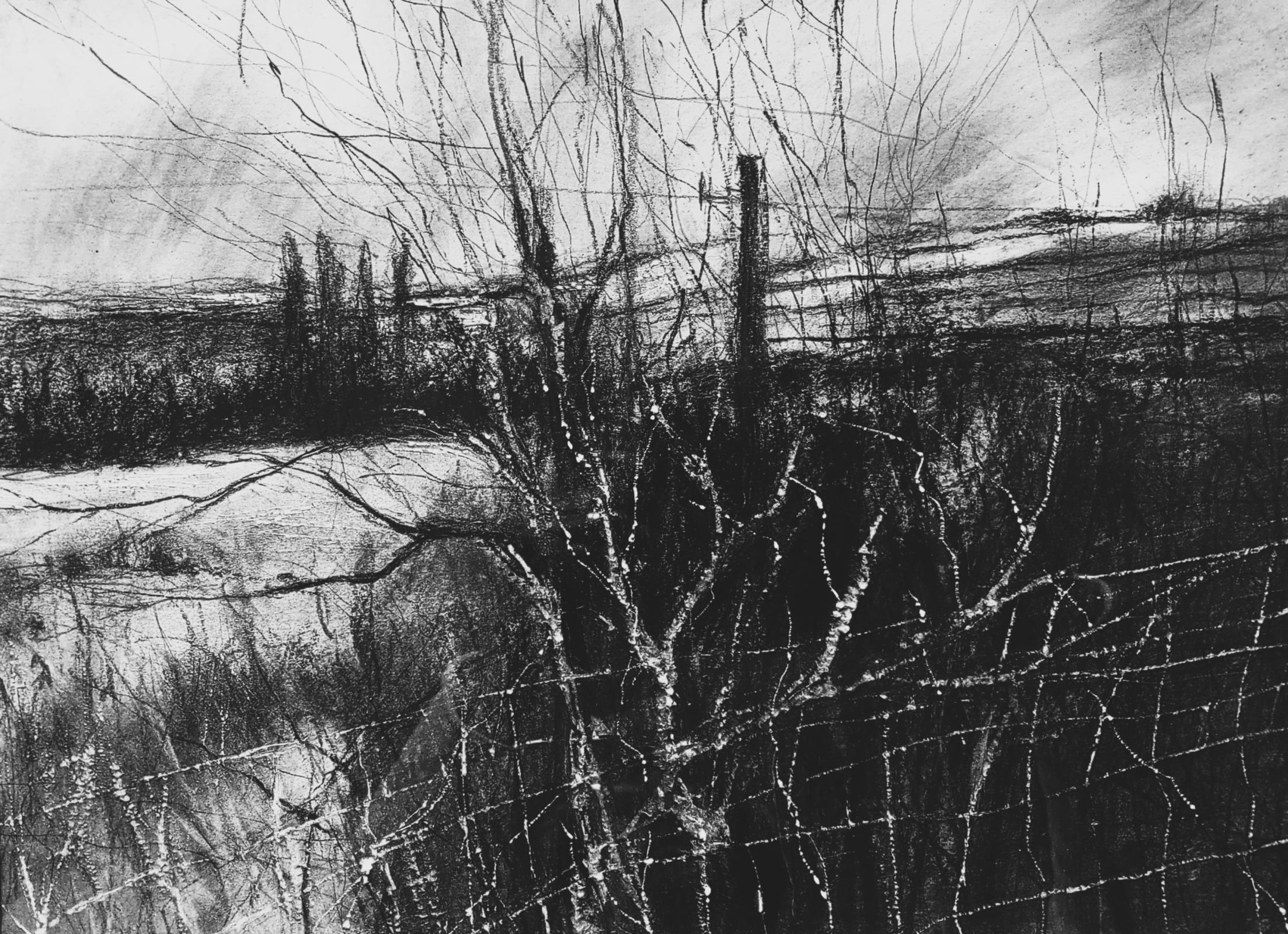 The Fields Beyond