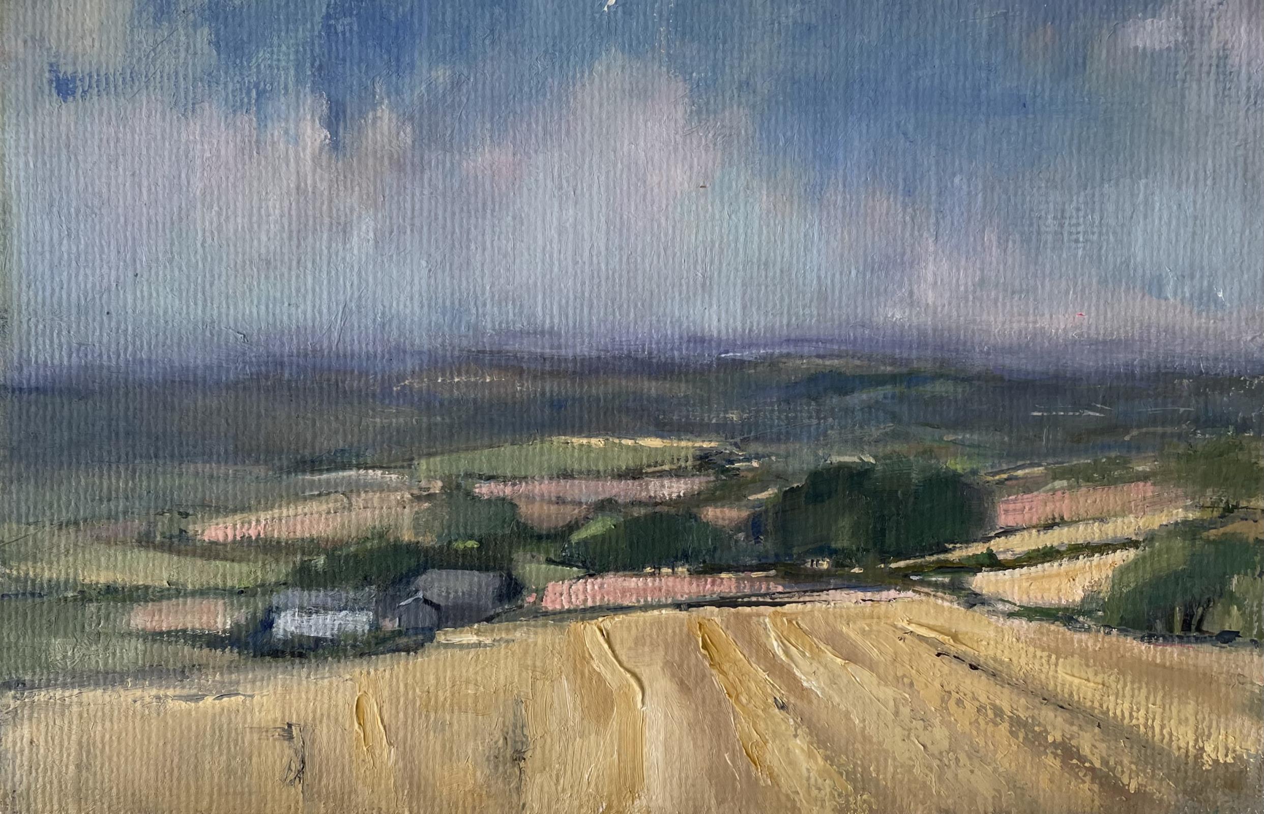 Tuscan Hues Under Devon Skies