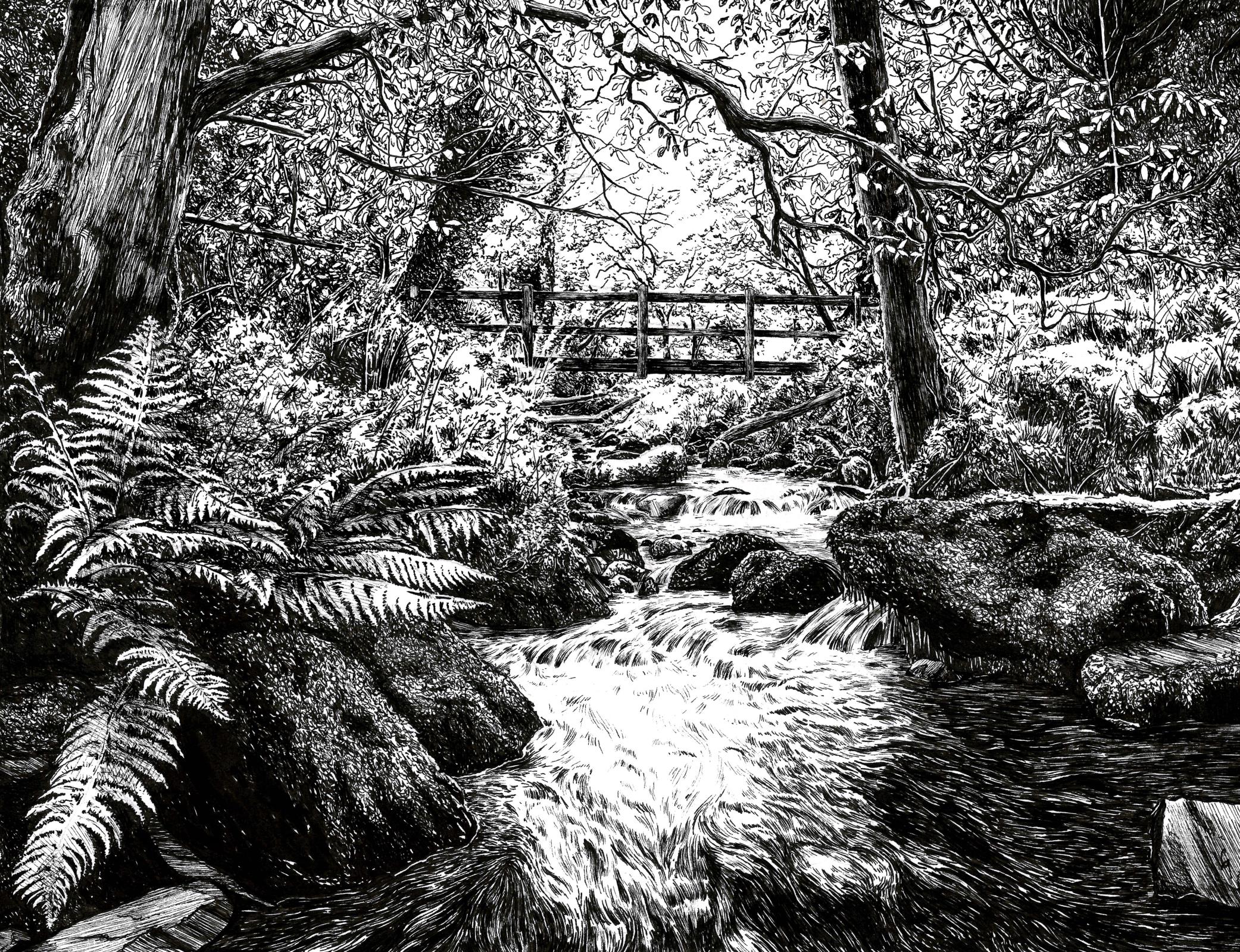 Exmoor Fern Bridge
