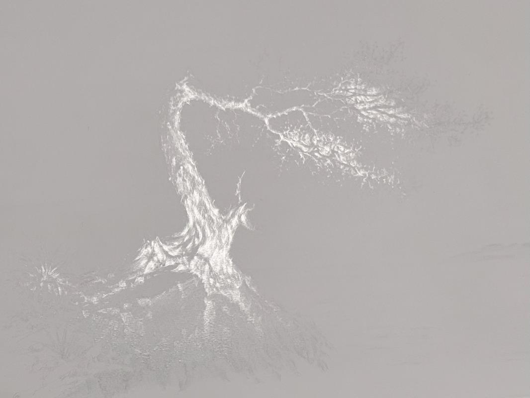 The Shape of Wind