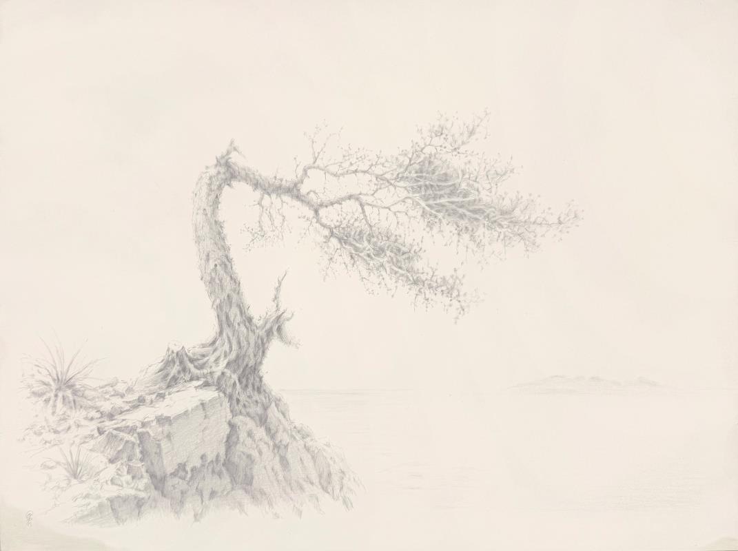 The Shape of Wind