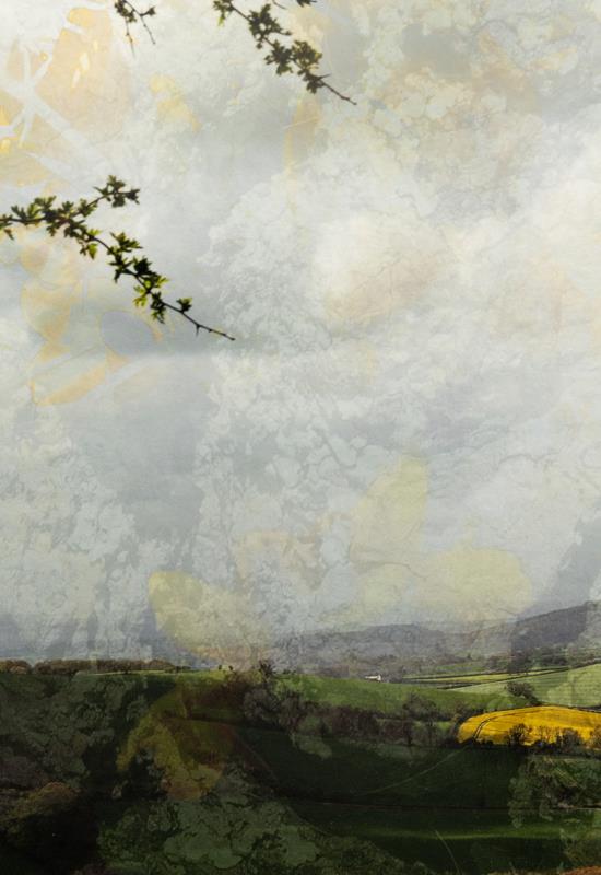 Tess Durbeyfield - From Innocence to Experience: Pure Vista