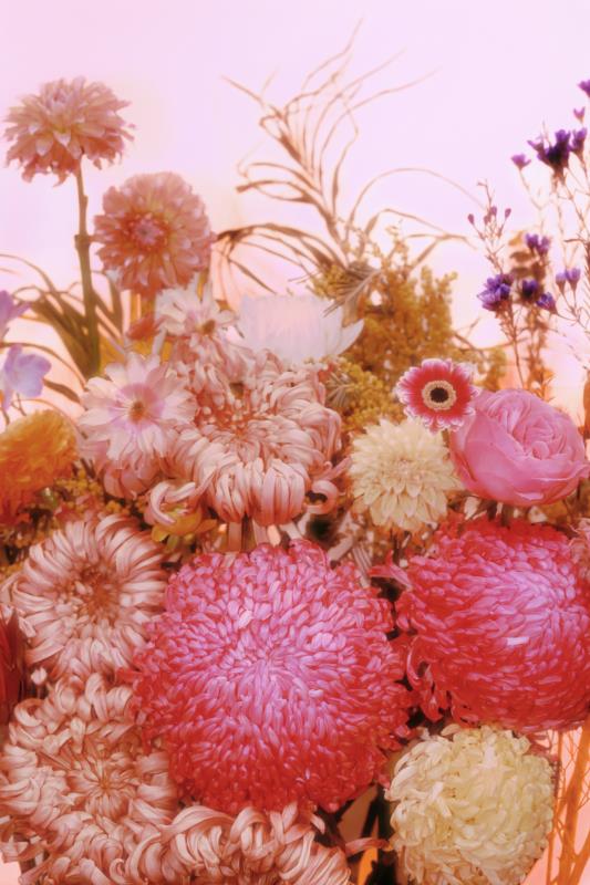 The Bird and Flowers