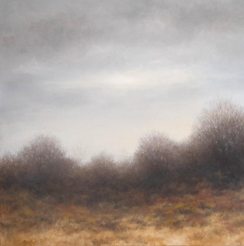 Open Moor