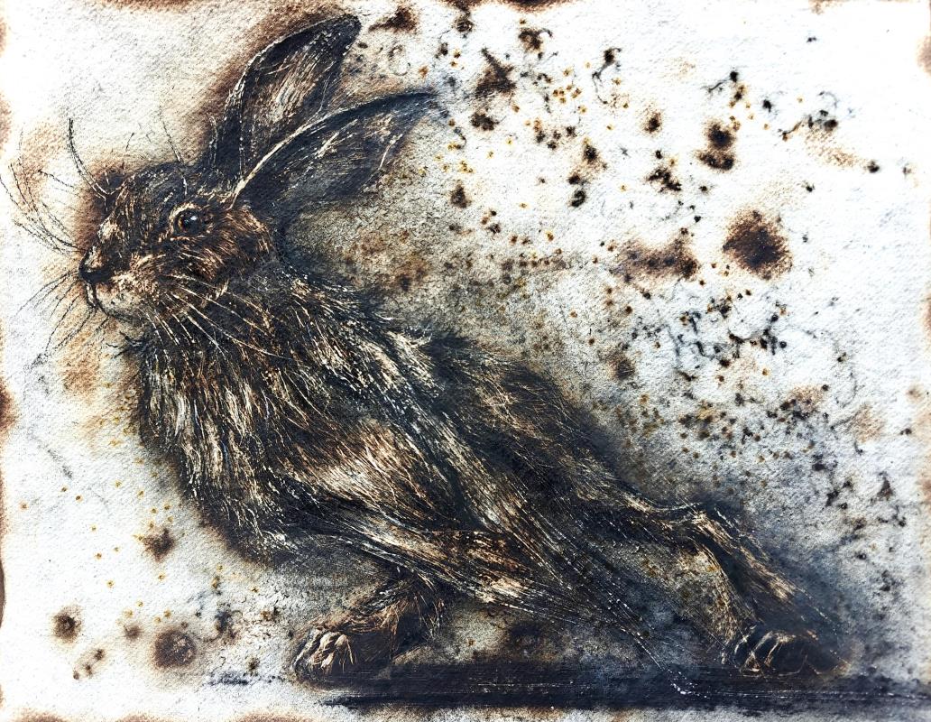 Cours, Petit Lapin, Cours 3