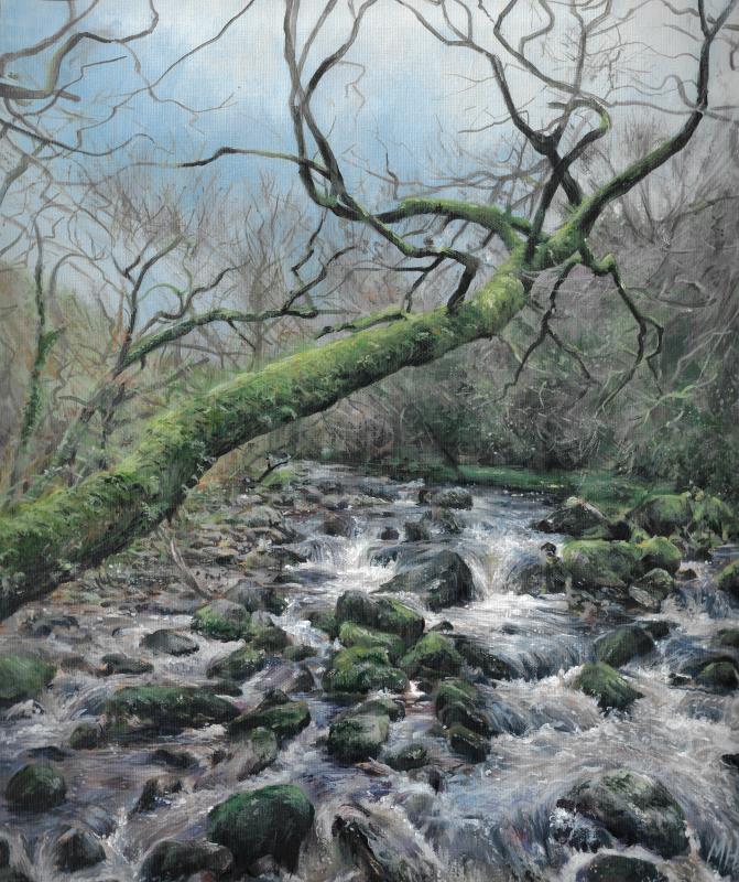 Dartmoor babbling brook