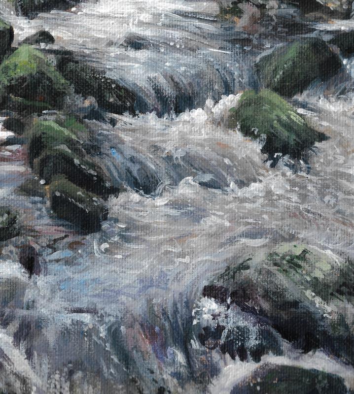 Dartmoor babbling brook