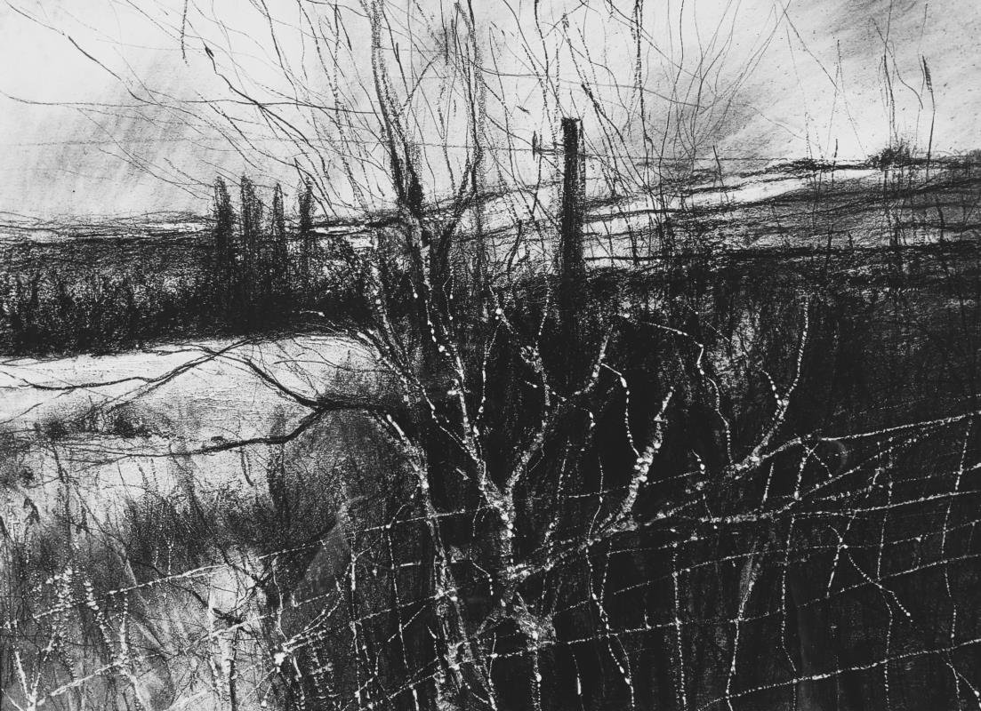 The Fields Beyond