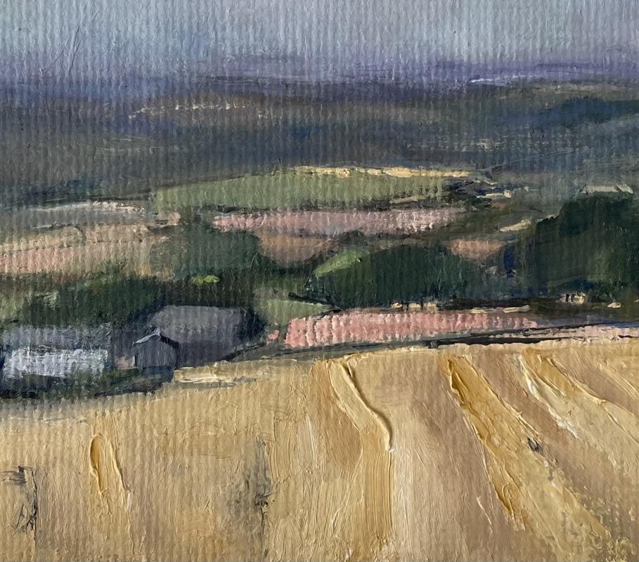 Tuscan Hues Under Devon Skies