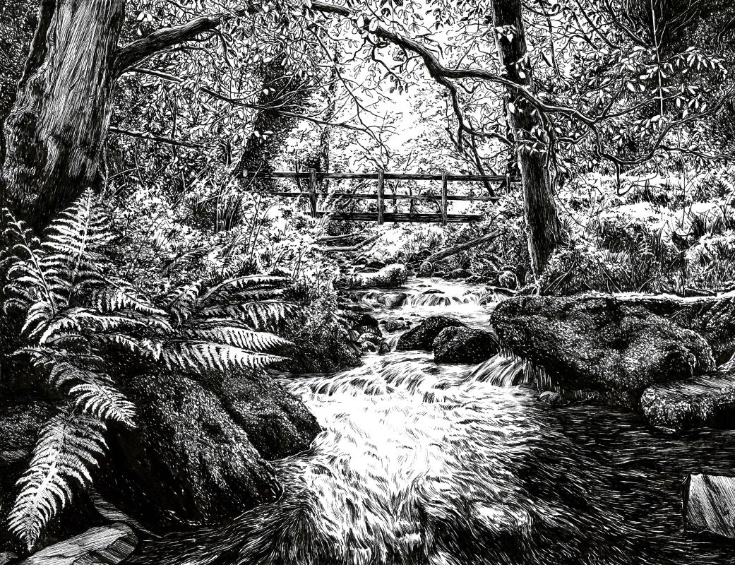 Exmoor Fern Bridge