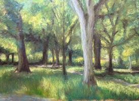 Light in the Park