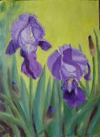 Irises