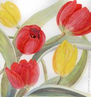 Tulips on Fridays