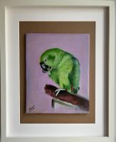 Parrot