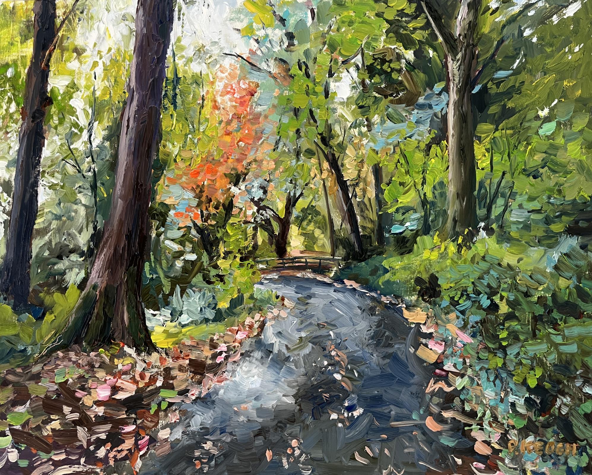 Newpark, Ennis
