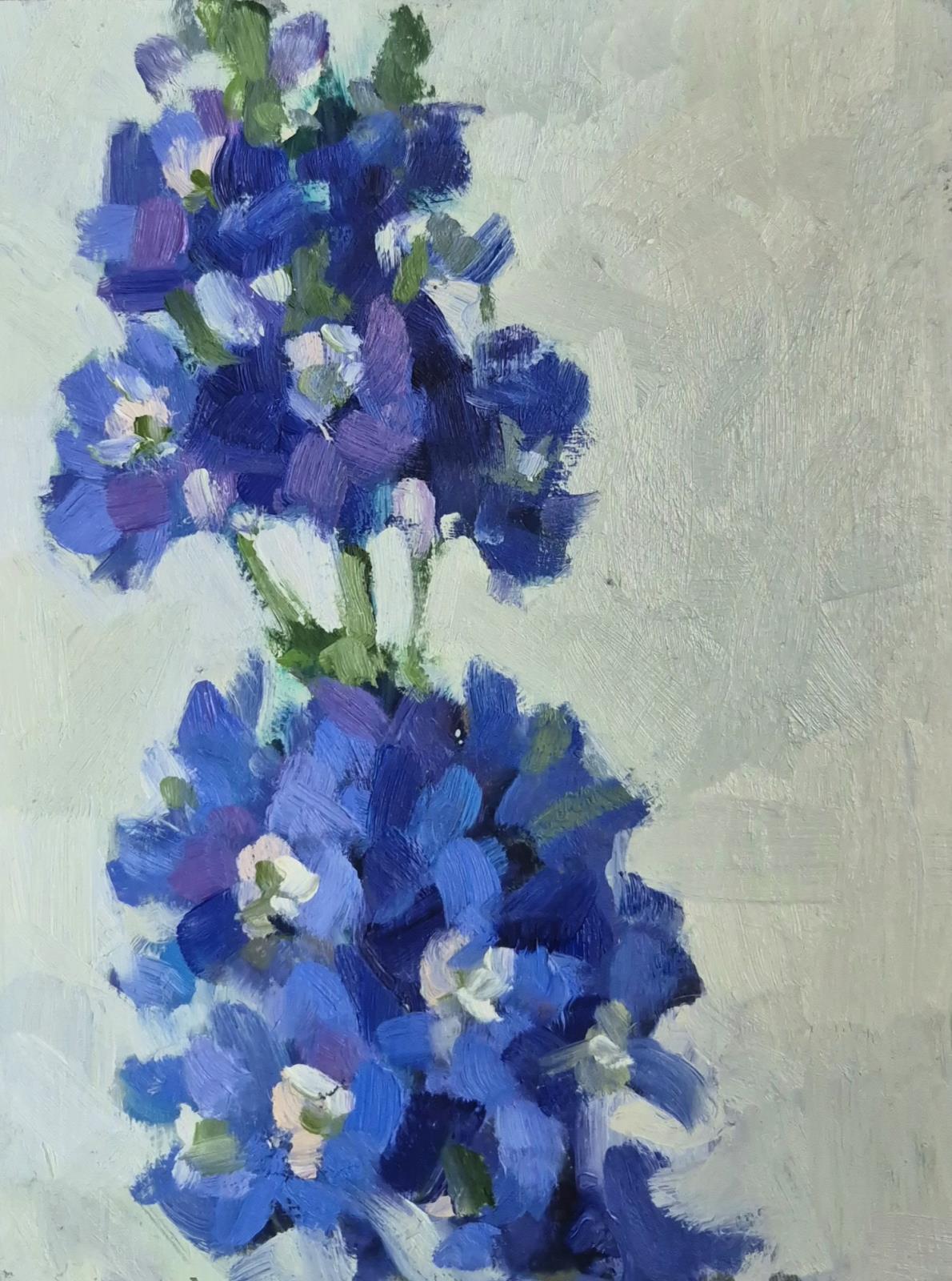 Delphinium
