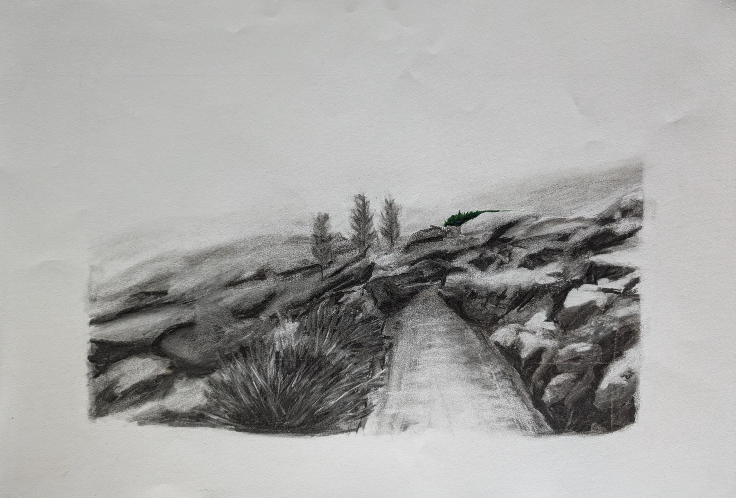 Cill Rialaig, study 2