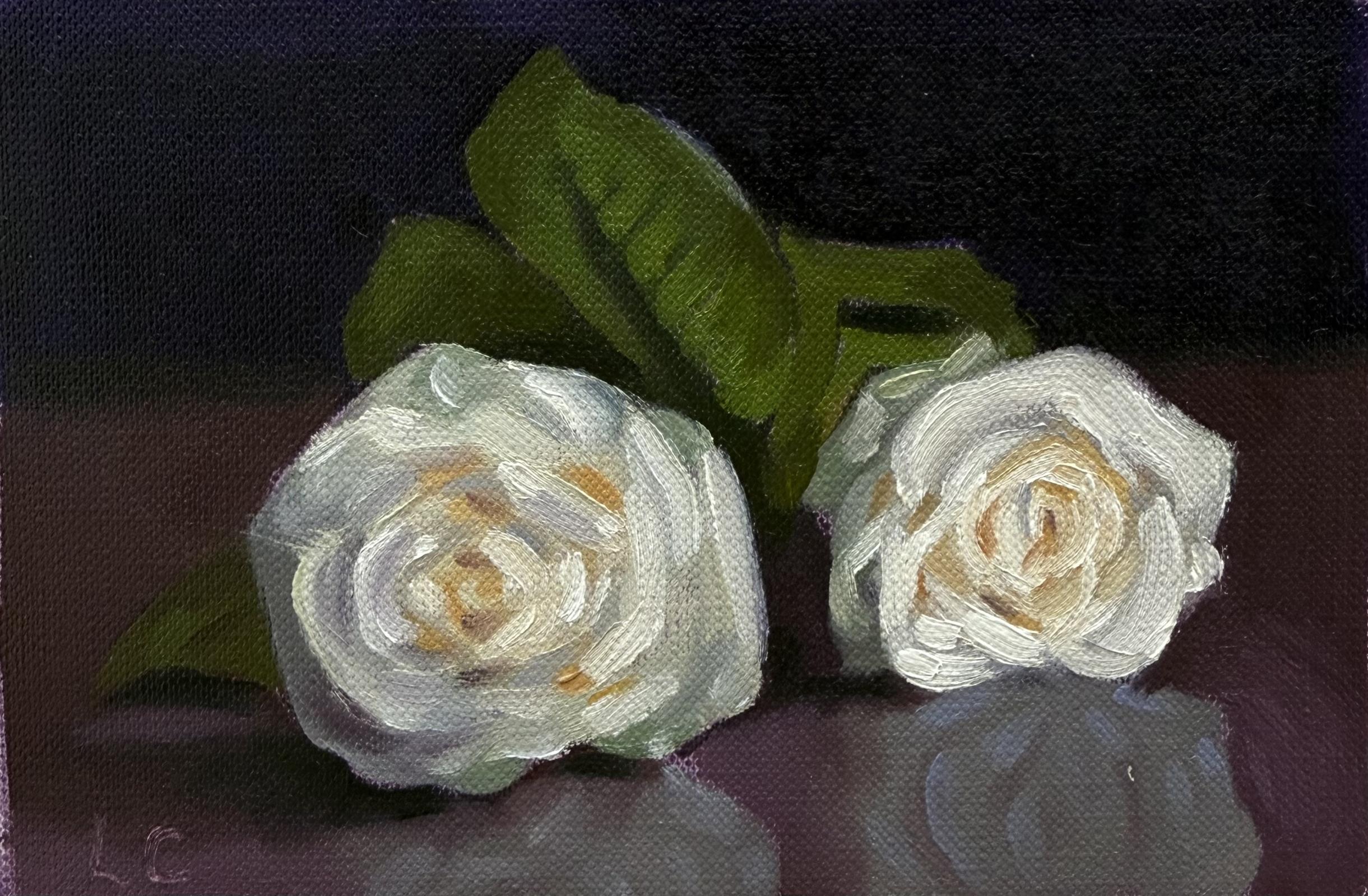 Rose Study