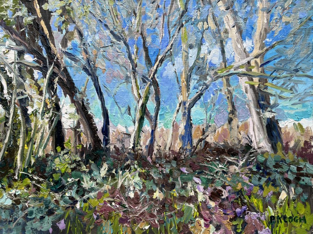 Winter Woodland