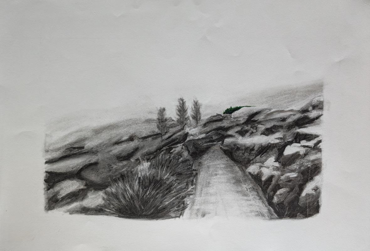Cill Rialaig, study 2