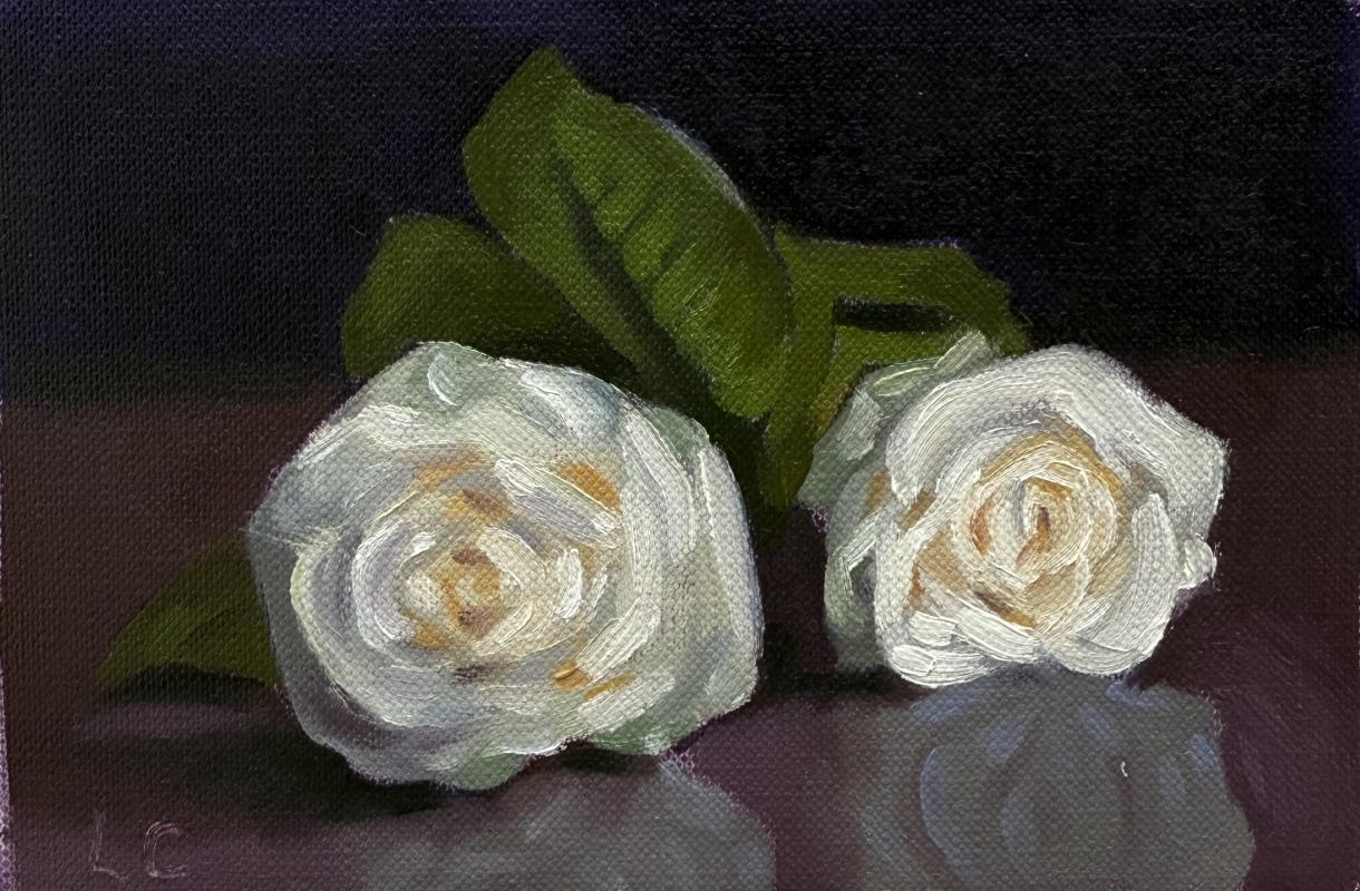 Rose Study