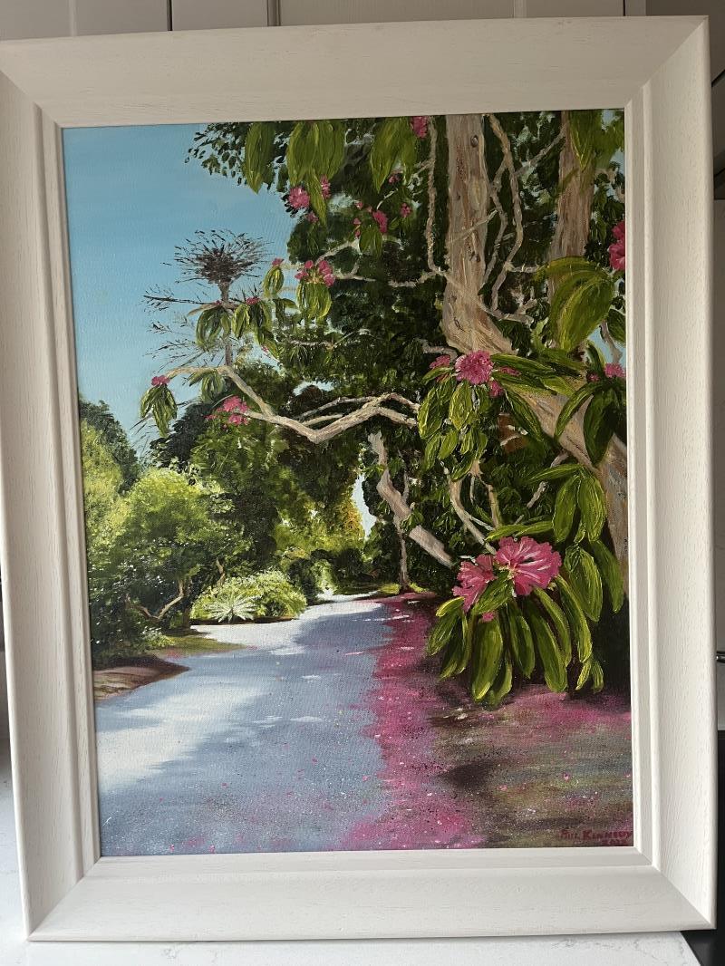 Rhododendron walk 
