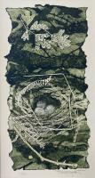 Robin's Nest 