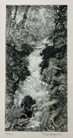 Woodland Stream