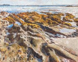 Rockpools at Bream Cove