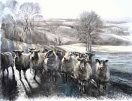Winter on the Hill