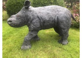 Baby rhino