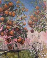 Orange trees at the Alcazar, Seville 